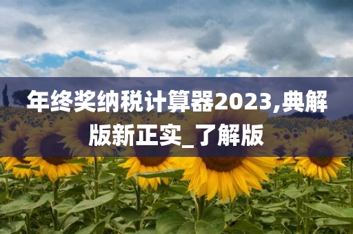 年终奖纳税计算器2023,典解版新正实_了解版