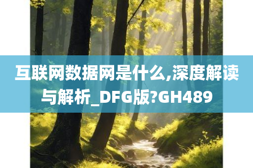 互联网数据网是什么,深度解读与解析_DFG版?GH489