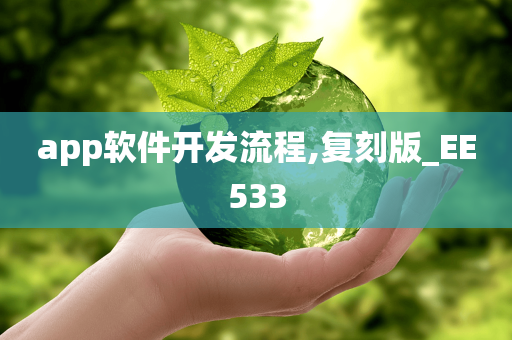 app软件开发流程,复刻版_EE533