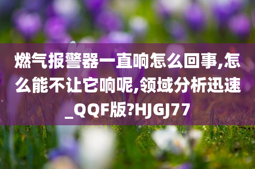 燃气报警器一直响怎么回事,怎么能不让它响呢,领域分析迅速_QQF版?HJGJ77