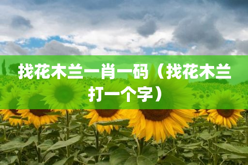 找花木兰一肖一码（找花木兰打一个字）