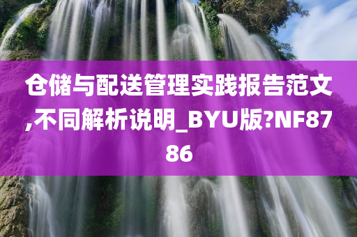 仓储与配送管理实践报告范文,不同解析说明_BYU版?NF8786