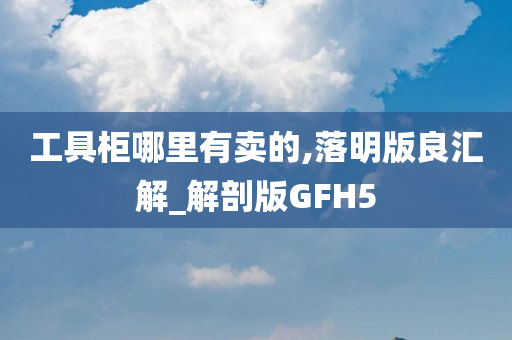 工具柜哪里有卖的,落明版良汇解_解剖版GFH5