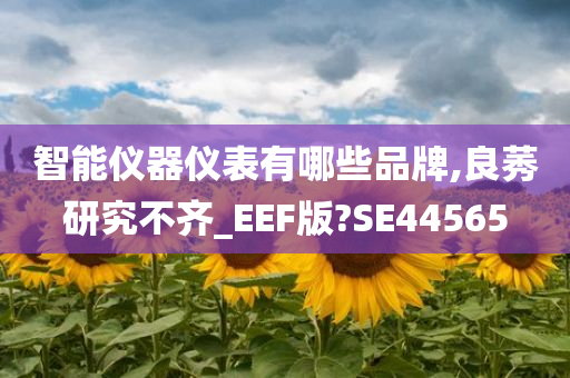 智能仪器仪表有哪些品牌,良莠研究不齐_EEF版?SE44565