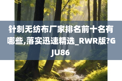 针刺无纺布厂家排名前十名有哪些,落实迅速精选_RWR版?GJU86