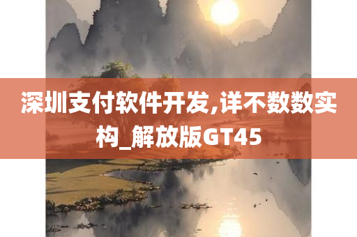 深圳支付软件开发,详不数数实构_解放版GT45