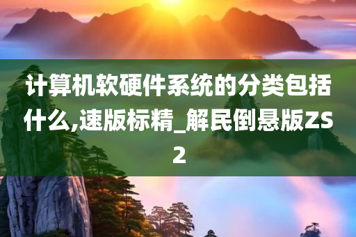 计算机软硬件系统的分类包括什么,速版标精_解民倒悬版ZS2