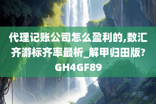 代理记账公司怎么盈利的,数汇齐游标齐率最析_解甲归田版?GH4GF89