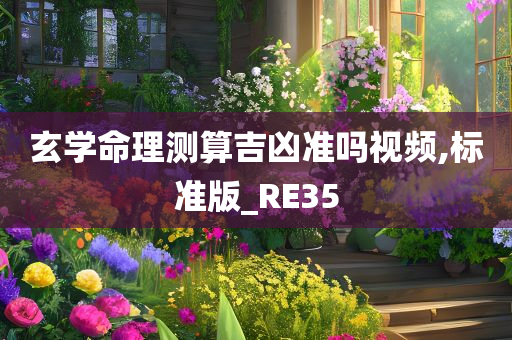 玄学命理测算吉凶准吗视频,标准版_RE35