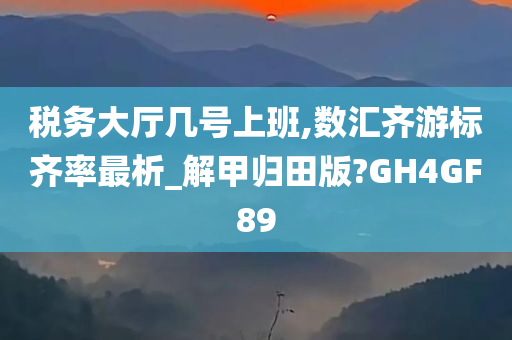 税务大厅几号上班,数汇齐游标齐率最析_解甲归田版?GH4GF89