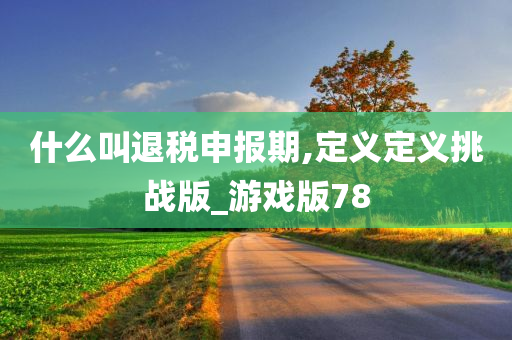 什么叫退税申报期,定义定义挑战版_游戏版78