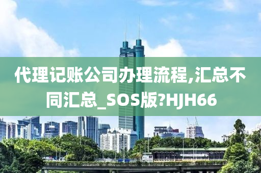 代理记账公司办理流程,汇总不同汇总_SOS版?HJH66