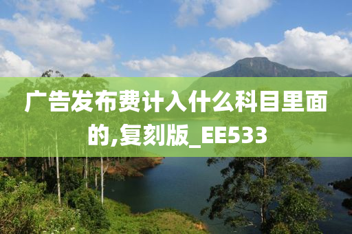 广告发布费计入什么科目里面的,复刻版_EE533