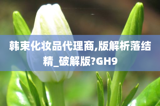 韩束化妆品代理商,版解析落结精_破解版?GH9