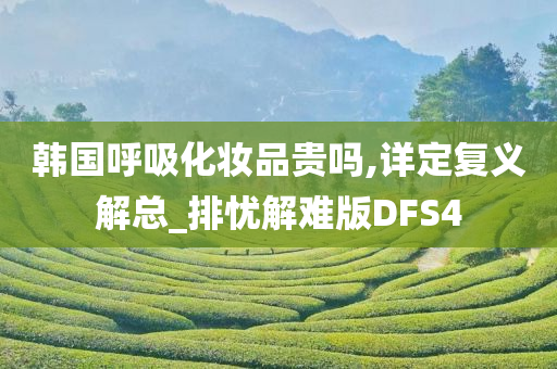 韩国呼吸化妆品贵吗,详定复义解总_排忧解难版DFS4