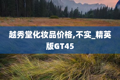 越秀堂化妆品价格,不实_精英版GT45