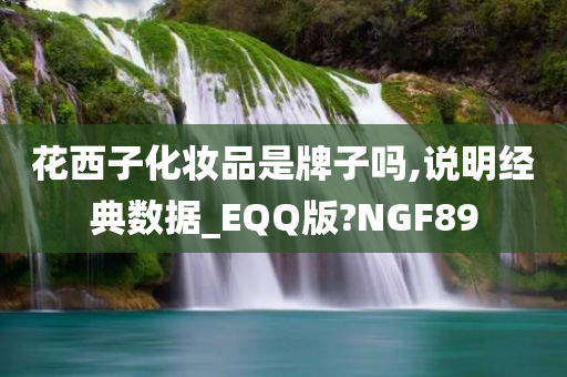 花西子化妆品是牌子吗,说明经典数据_EQQ版?NGF89