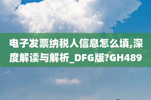 电子发票纳税人信息怎么填,深度解读与解析_DFG版?GH489