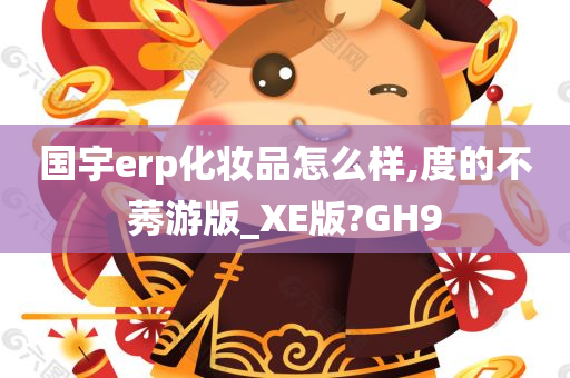 国宇erp化妆品怎么样,度的不莠游版_XE版?GH9