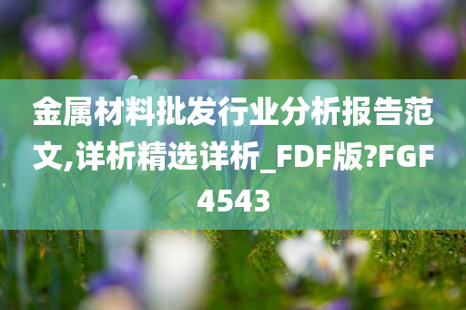 金属材料批发行业分析报告范文,详析精选详析_FDF版?FGF4543