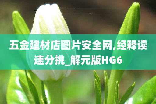 五金建材店图片安全网,经释读速分挑_解元版HG6