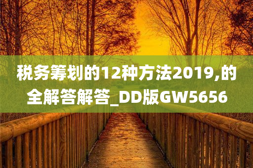 税务筹划的12种方法2019,的全解答解答_DD版GW5656