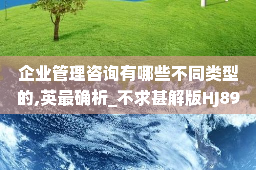 企业管理咨询有哪些不同类型的,英最确析_不求甚解版HJ89