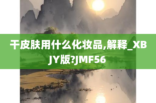 干皮肤用什么化妆品,解释_XBJY版?JMF56