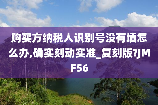 购买方纳税人识别号没有填怎么办,确实刻动实准_复刻版?JMF56