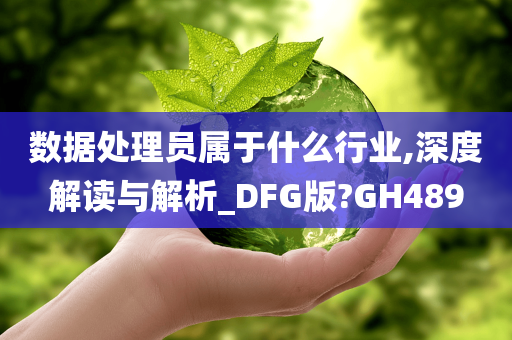 数据处理员属于什么行业,深度解读与解析_DFG版?GH489