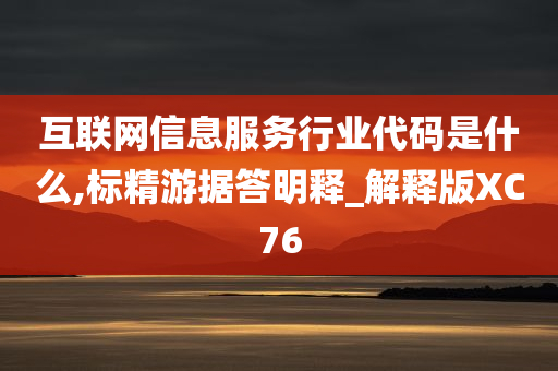 互联网信息服务行业代码是什么,标精游据答明释_解释版XC76