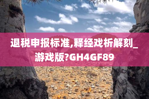 退税申报标准,释经戏析解刻_游戏版?GH4GF89