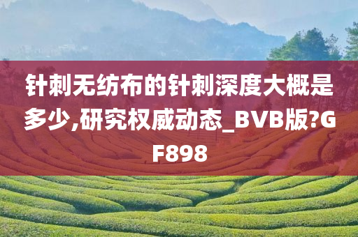 针刺无纺布的针刺深度大概是多少,研究权威动态_BVB版?GF898