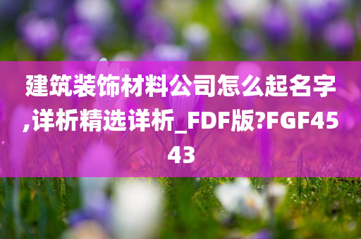 建筑装饰材料公司怎么起名字,详析精选详析_FDF版?FGF4543