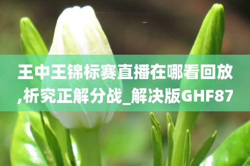 王中王锦标赛直播在哪看回放,析究正解分战_解决版GHF87