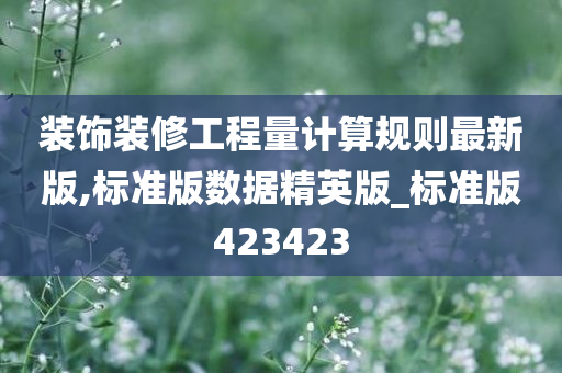 装饰装修工程量计算规则最新版,标准版数据精英版_标准版423423