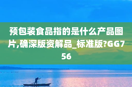 预包装食品指的是什么产品图片,确深版资解品_标准版?GG756