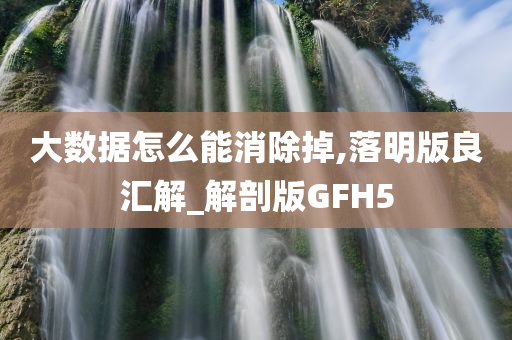 大数据怎么能消除掉,落明版良汇解_解剖版GFH5