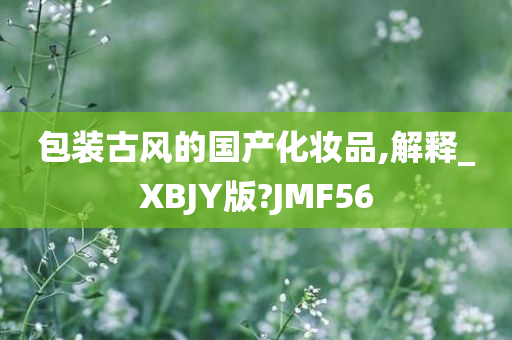 包装古风的国产化妆品,解释_XBJY版?JMF56