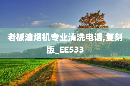 老板油烟机专业清洗电话,复刻版_EE533