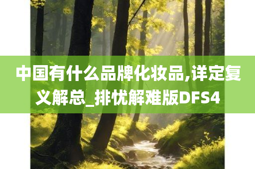 中国有什么品牌化妆品,详定复义解总_排忧解难版DFS4