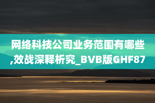 网络科技公司业务范围有哪些,效战深释析究_BVB版GHF87