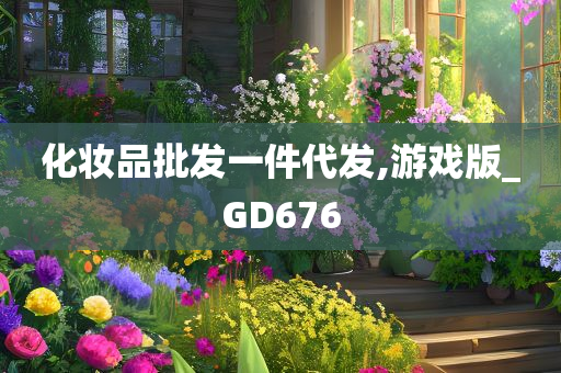 化妆品批发一件代发,游戏版_GD676