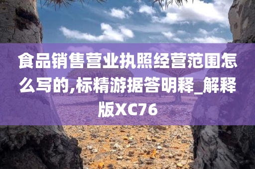 食品销售营业执照经营范围怎么写的,标精游据答明释_解释版XC76