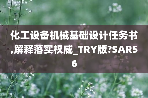 化工设备机械基础设计任务书,解释落实权威_TRY版?SAR56