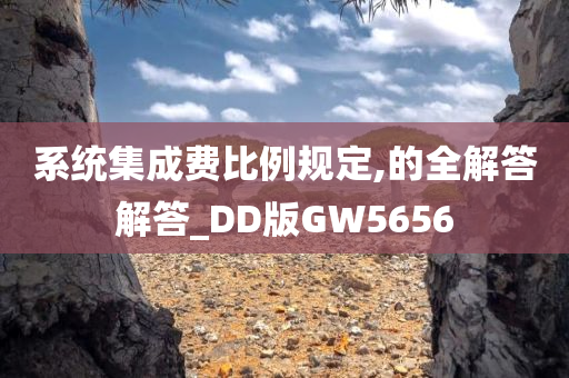 系统集成费比例规定,的全解答解答_DD版GW5656