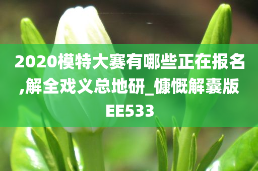 2020模特大赛有哪些正在报名,解全戏义总地研_慷慨解囊版EE533