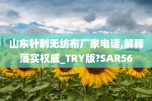 山东针刺无纺布厂家电话,解释落实权威_TRY版?SAR56