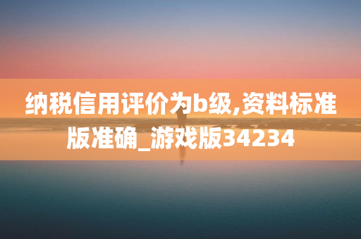 纳税信用评价为b级,资料标准版准确_游戏版34234