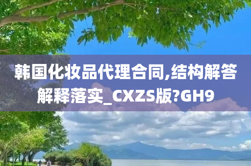 韩国化妆品代理合同,结构解答解释落实_CXZS版?GH9